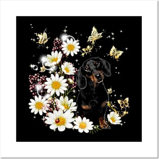 Dachshund daisy love Posters and Art